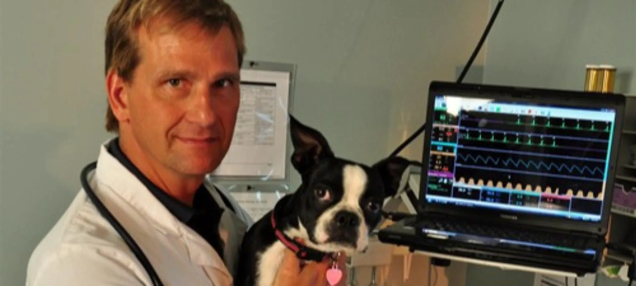 Doctor holding a dog